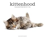 Kittenhood: Life-size Portraits of Kittens in Their First 12 Weeks by Sarah Beth Ernhart, Becker&Mayer! Books