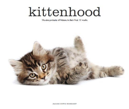 Kittenhood: Life-size Portraits of Kittens in Their First 12 Weeks by Sarah Beth Ernhart