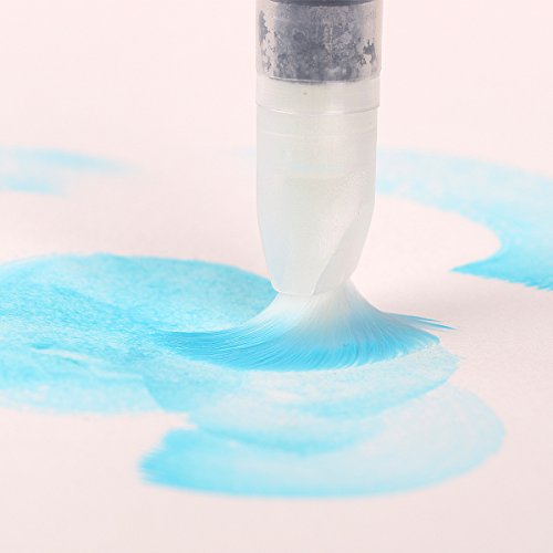 Transon Water Coloring Brush Set of 6 for Watercolor Painting, Powdered