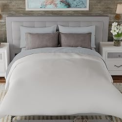 AIREOLUX Egyptian Cotton Queen Bed Sheets Set Light
