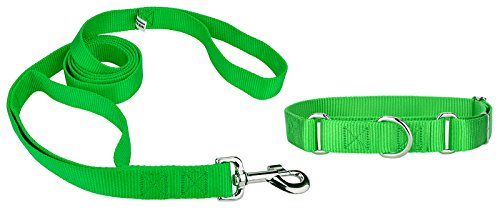 Country Brook Design Martingale Heavyduty Nylon Dog Collar and Double Handle Leash - Hot Green - Extra Large