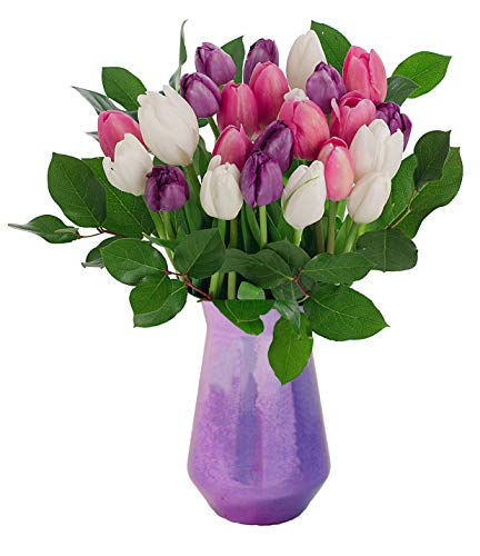Stargazer Barn - The Duchess Bouquet - 2 Dozen Fresh Tulips with Vase - California Grown - Thumbnail 3