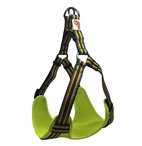 Long Paws Comfort Reflective Padded Step-in Dog Harness, Large, Green