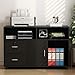 Tribesigns Wood File Cabinet, 2 Drawer Storage Printer Stand, Mobile Lateral Filing Cabinet with Locks and Wheels, Open Storage Shelves for Study, Home Office (Black)