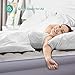 Sable Mattress, Inflatable Air Bed with Internal Pump Eco-Friendly PVC and Top Flocking with Storage Bag, Height 19