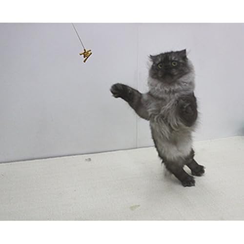 Cat Dancer 101 Cat Dancer Interactive Cat Toy Pet Supplies, Cats, Toys, Mice & Animal Toys