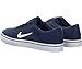 Nike Men's SB Portmore Skate Shoe