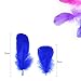 Poswlto 300Pcs Decor Feathers,Colorful Feathers for DIY Craft Wedding Home Party Decorations.