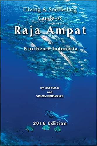 Snorkeling adventure from home vol 2 english edition