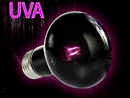 Kewie 100W UVA Reptile Heat Bulb Pet heat lamp Natural Light Lamp for Reptile
