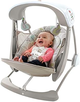fisher price take along swing and seat