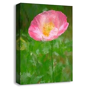 Canvas Wall Art Abstract Beautiful Oil Painting Feature Artwork for Home Prints Framed - 12x18 inches