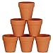 Winlyn 6 Pcs Large Terracotta Pot Clay Pots 5'' Clay Ceramic Pottery Planter Cactus Flower Pots Succulent Pot Drainage Hole- Great for Plants,Crafts,Wedding Favor