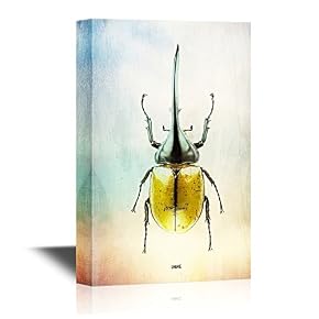 Insects Artwork Series Dynastes Hercules on Vintage Background