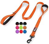 Primal Pet Gear Dog Leash 6ft Long - Traffic Padded Two Handle - Heavy Duty - Double Handles Lead for Control Safety Training - Leashes for Large Dogs or Medium Dogs (6FT, Orange)