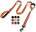 Primal Pet Gear Dog Leash 6ft Long - Traffic Padded Two Handle - Heavy Duty - Double Handles Lead for Control Safety Training - Leashes for Large Dogs or Medium Dogs (6FT, Orange) primary