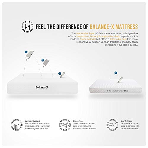 HOFISH 2019 Upgraded BalanceX 10 Inches Responsive Foam Mattress