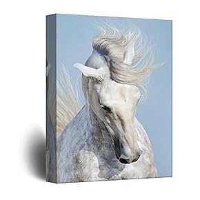 Canvas Wall Art - White Horse Portrait - Giclee Print Gallery Wrap Modern Home Art Ready to Hang - 12x18 inches