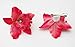 DreamLily Hawaiian Orchid Flower Hair Clip Hair pins for Beach Party BC14 (Red#1)