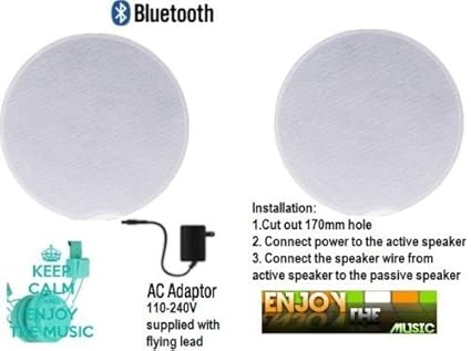 Wireless Active Bluetooth Ceiling Speaker Dual Kit 60 Watts With 1