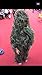HaoFst Children's Camouflage Uniform Ghillie Suit Camo Woodland Camouflage Forest Hunting 4-Piece + Bag