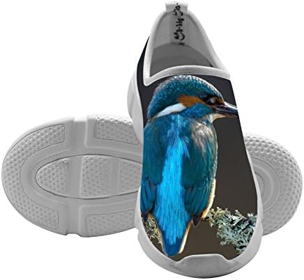 Bird Kingfisher Kids Free Sports Shoes 2018 Print Running Shoes For Girls 10 B(M)