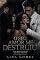 Livro O Seu Amor me Destruiu