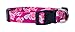 Native Pup Flower Dog Collar/Paisley Dog Collar (Small, Roses)thumb 1