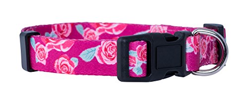 Native Pup Flower Dog Collar/Paisley Dog Collar (Small, Roses)
