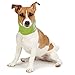 Insect Shield Insect Repellant Dog Neck Gaiter for Protecting Dogs from Fleas, Ticks, Mosquitoes & More