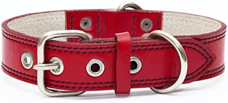 Premium Leather Collars with Stainless Steel Buckles (18"-21", Red)