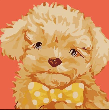 [Wooden Frame]Diy Oil Painting for Kids, Students, Adults Beginner,Paint by Number Kits,Little Dog With Bow-8x8 inch