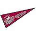 Chico State Pennant Full Size Felt