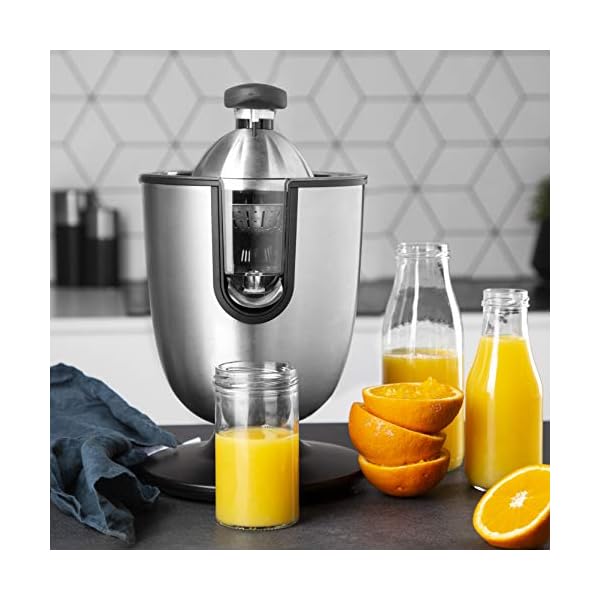 Princess Citrus Juicer Champion – Professional Orange and Lemon Squeezer – Stainless Steel – Lever arm – Universal Cone…