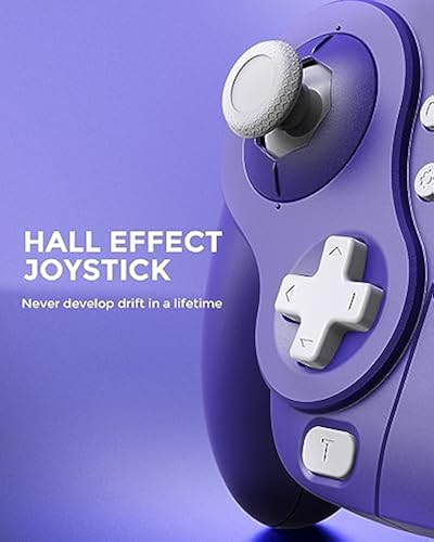 Nyxi Nintendo Gamecube Switch Controller NYXI Wizard Switch
