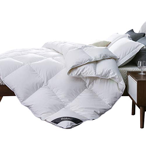 globon goose down comforter