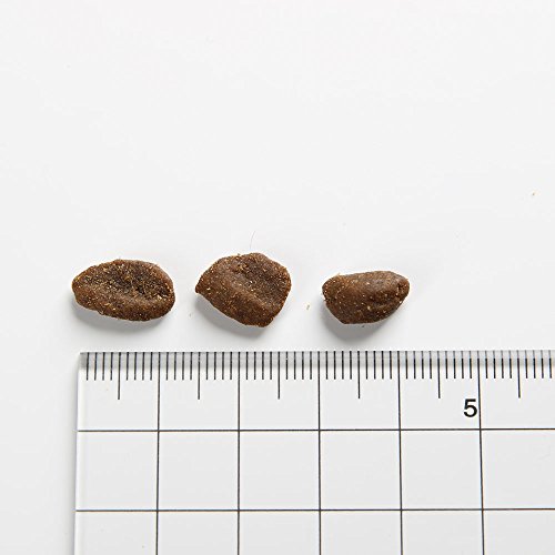 Orijen Regional Red for Cats 4 Pounds