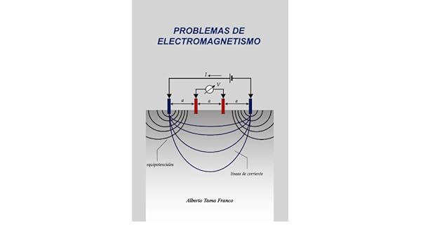 Problemas de Electromagnetismo (Serie Nuestros Valores - ESPOL): Presenta la solución de un número importante de atractivos y prácticos problemas propuestos ...