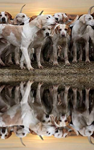 Notebook: dogs sunset reflection clouds hounds water mood 5