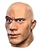 Disguise Men's the Rock Deluxe WWE Adult Mask, Multi, One Size