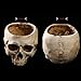 Xinhuaya Retro Human Skull Head Flower Pot Planter Bed Box Container Replica Home Bar Decor