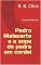 Livro Pedro Malazarte e a sopa de pedra em cordel (Coleção Malazarte Livro 6)
