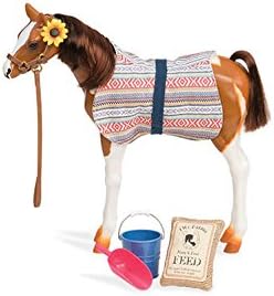 our generation pinto horse