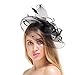 Valdler Halloween Black Costume Feather Net and Veil Fascinator Hair Clip Hat Hair Accessories Clip for Festival Party