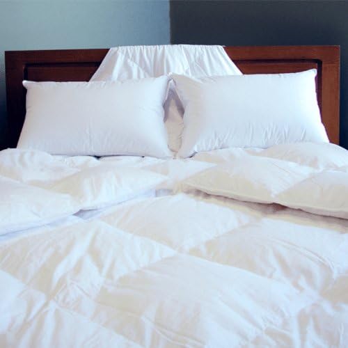 Dreamsong D40B200431 Country Down Twin Comforter
