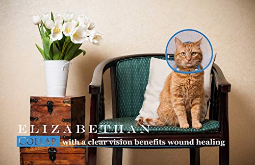 PETBABA Cat Cone Collar in Recovery, Clear Elizabethan Not Block Vision, Soft Padded E-Collar Protect Neck, Suitable Kitten Puppy Dog Pet in Surgery Remedy Grooming - S in Blue