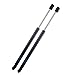 2pcs 6328 Gas Charged Hood Struts Lift Support for 2003-2007 Nissan Murano Spring Shocks