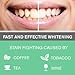 Whitening Tooth Powder with Activated Charcoal for Teeth and Gums (Cool Peppermint) - Safe on Enamel, Detoxifying, Plant-Based and Cruelty Free