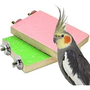 2 Pack Colorful Bird Perch Stand Platform Natural Wood Playground Paw Grinding Clean for Pet Parrot Budgies Parakeet Cockatiels Conure Lovebirds Rat Mouse Cage Accessories Exercise Toys