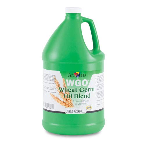 SU-PER Wheatgerm Oil Gallon